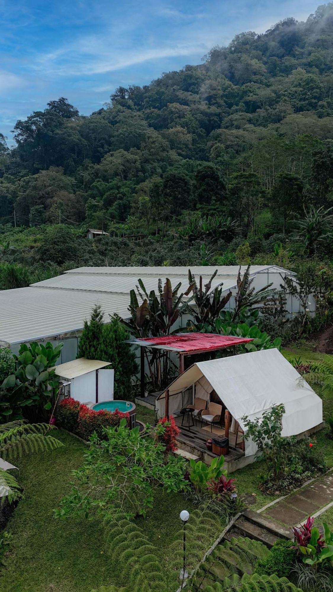 Alamu Eco Lodge Bedugul  Exterior foto